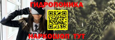 крисы Можайск