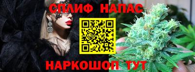 прущие крисы Моздок